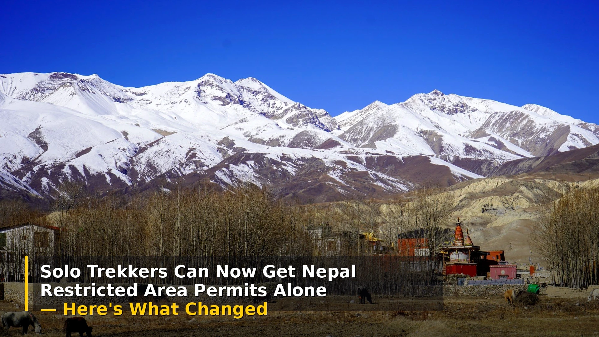 Solo Trekkers Can Now Get Nepal Restricted Area Permits Alone — Here's What Changed